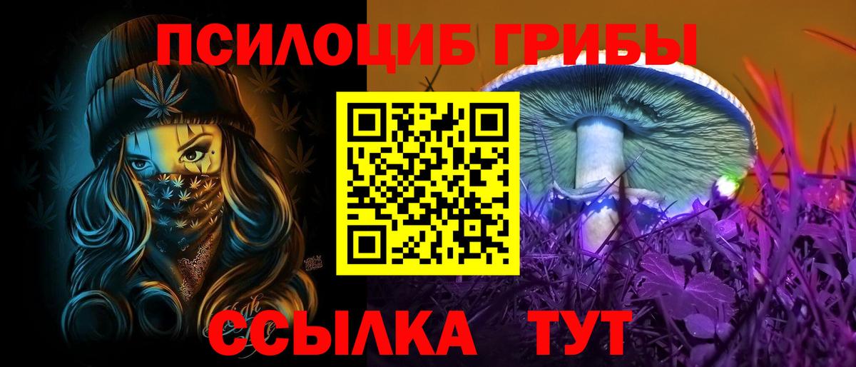 даркнет сайт  Вход с VPN  Псилоцибиновые грибы GOLDEN TEACHER  Кимры  Галлюциногенные грибы ЛСД 