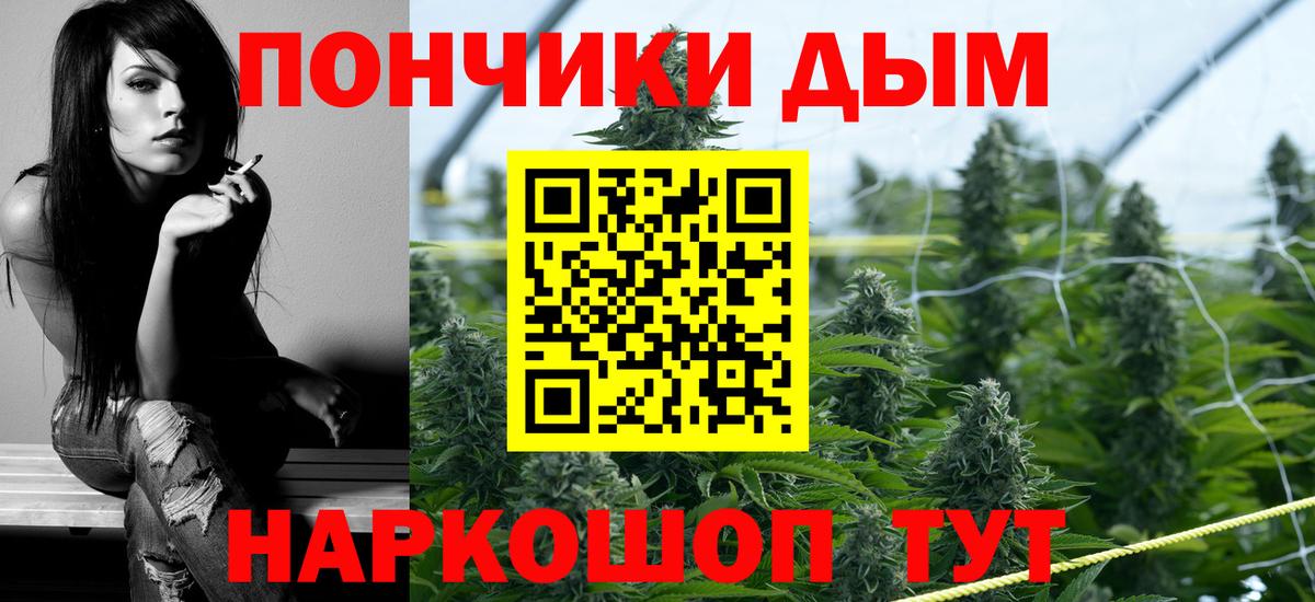 Каннабис планчик Кимры